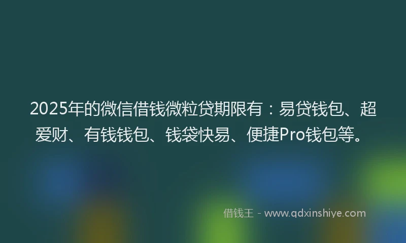 2025年的微信借钱微粒贷期限有：易贷钱包、超爱财、有钱钱包、钱袋快易、便捷Pro钱包等。