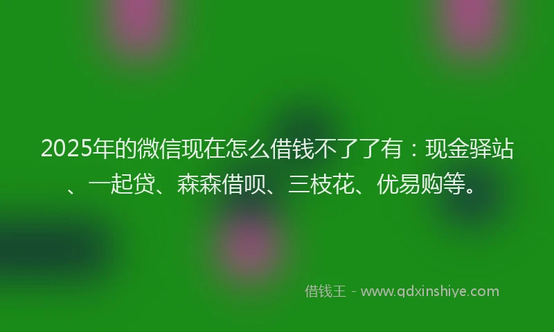 2025年的微信现在怎么借钱不了了有：现金驿站、一起贷、森森借呗、三枝花、优易购等。