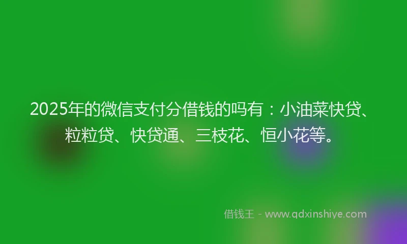 2025年的微信支付分借钱的吗有：小油菜快贷、粒粒贷、快贷通、三枝花、恒小花等。