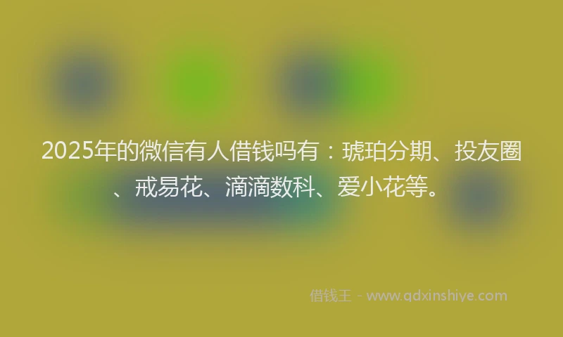2025年的微信有人借钱吗有：琥珀分期、投友圈、戒易花、滴滴数科、爱小花等。