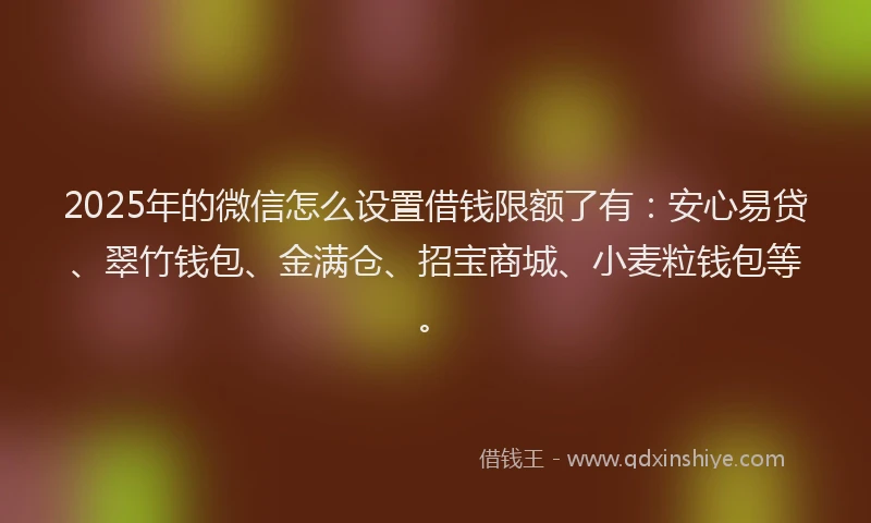 2025年的微信怎么设置借钱限额了有：安心易贷、翠竹钱包、金满仓、招宝商城、小麦粒钱包等。