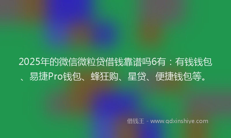 2025年的微信微粒贷借钱靠谱吗6有：有钱钱包、易捷Pro钱包、蜂狂购、星贷、便捷钱包等。