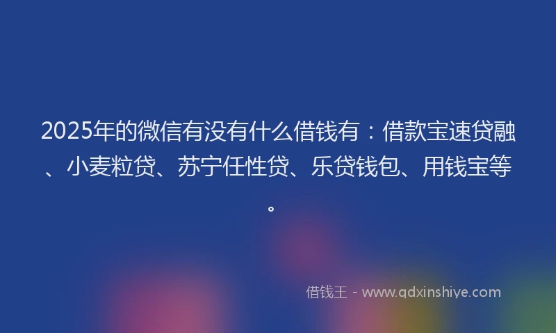 2025年的微信有没有什么借钱有：借款宝速贷融、小麦粒贷、苏宁任性贷、乐贷钱包、用钱宝等。