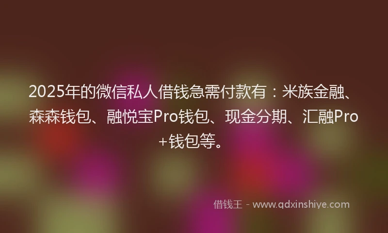 2025年的微信私人借钱急需付款有：米族金融、森森钱包、融悦宝Pro钱包、现金分期、汇融Pro+钱包等。