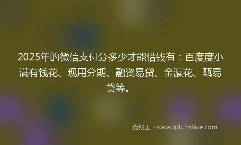 2025年的微信支付分多少才能借钱有：百度度小满有钱花、现用分期、融资易贷、金瀛花、甄易贷等。