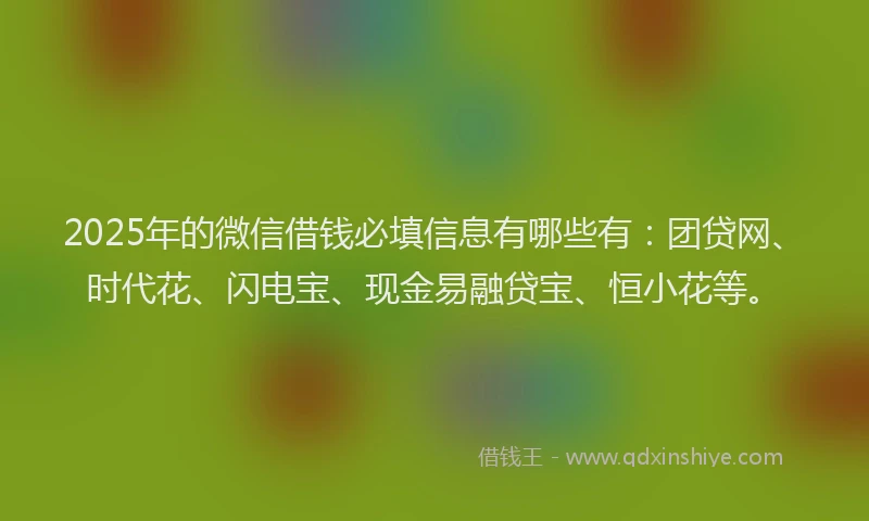 2025年的微信借钱必填信息有哪些有：团贷网、时代花、闪电宝、现金易融贷宝、恒小花等。