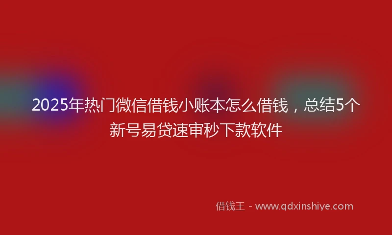 2025年热门微信借钱小账本怎么借钱，总结5个新号易贷速审秒下款软件