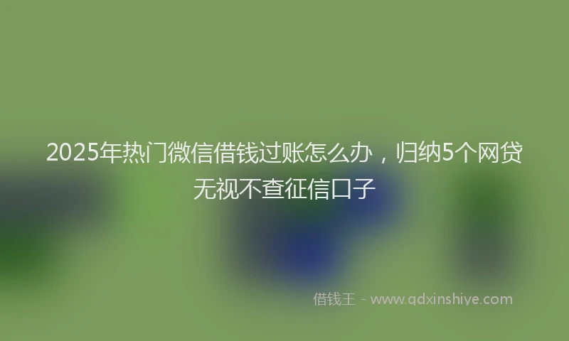 2025年热门微信借钱过账怎么办，归纳5个网贷无视不查征信口子