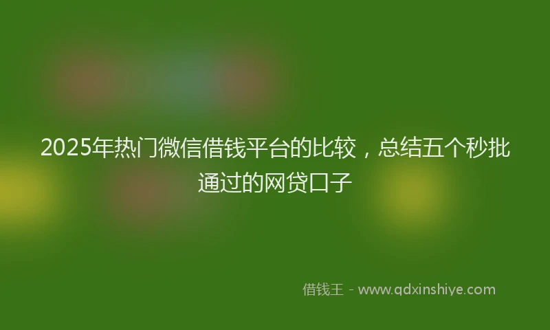 2025年热门微信借钱平台的比较，总结五个秒批通过的网贷口子