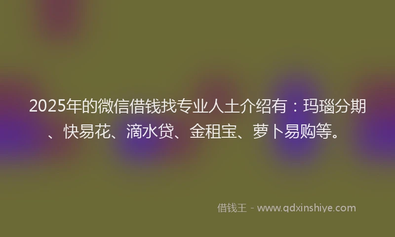 2025年的微信借钱找专业人土介绍有：玛瑙分期、快易花、滴水贷、金租宝、萝卜易购等。