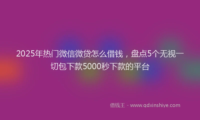 2025年热门微信微贷怎么借钱，盘点5个无视一切包下款5000秒下款的平台