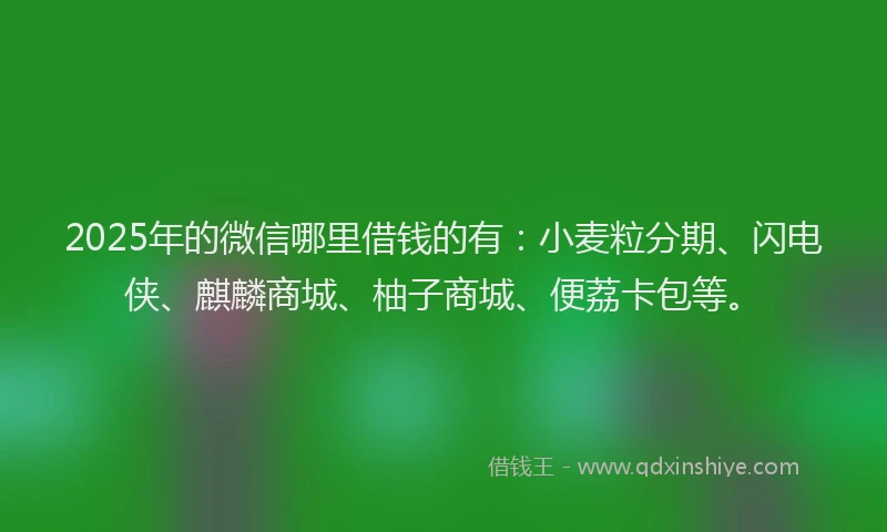 2025年的微信哪里借钱的有：小麦粒分期、闪电侠、麒麟商城、柚子商城、便荔卡包等。