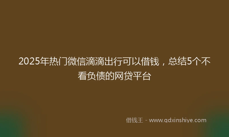 2025年热门微信滴滴出行可以借钱，总结5个不看负债的网贷平台