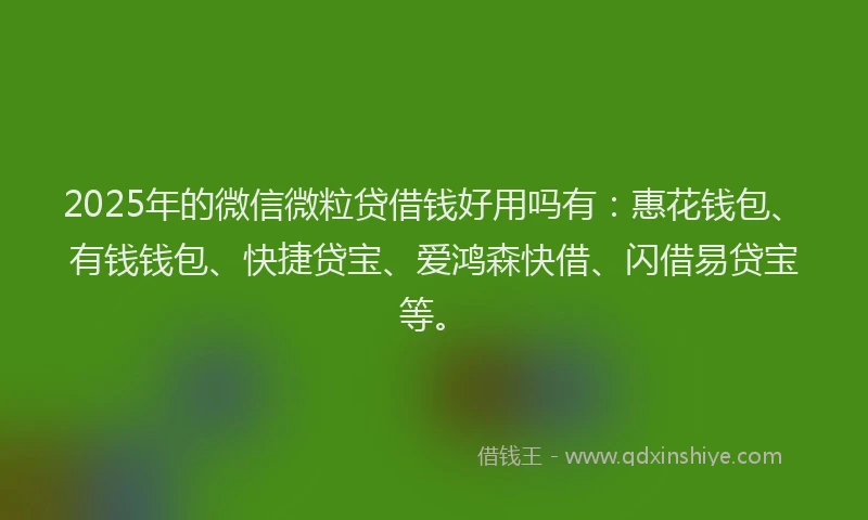 2025年的微信微粒贷借钱好用吗有：惠花钱包、有钱钱包、快捷贷宝、爱鸿森快借、闪借易贷宝等。