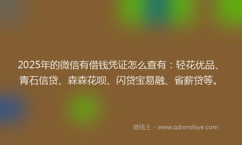 2025年的微信有借钱凭证怎么查有：轻花优品、青石信贷、森森花呗、闪贷宝易融、省薪贷等。