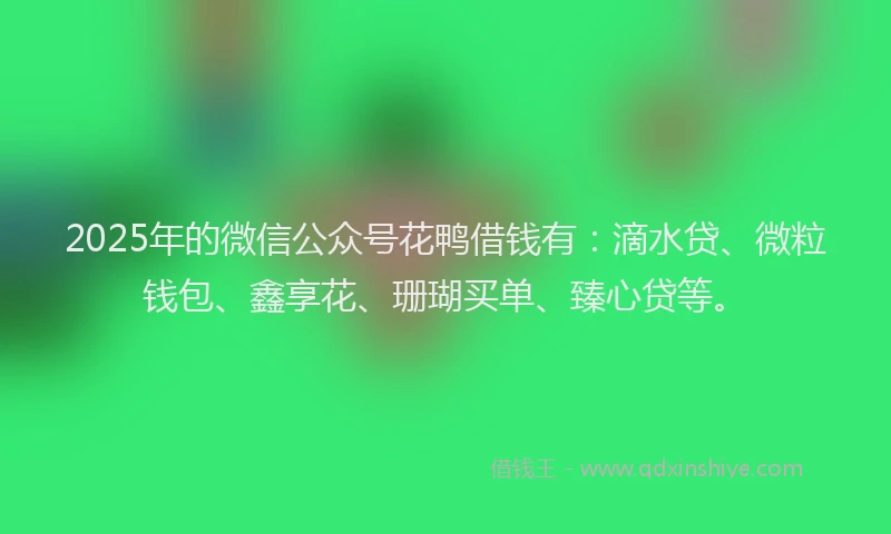 2025年的微信公众号花鸭借钱有：滴水贷、微粒钱包、鑫享花、珊瑚买单、臻心贷等。