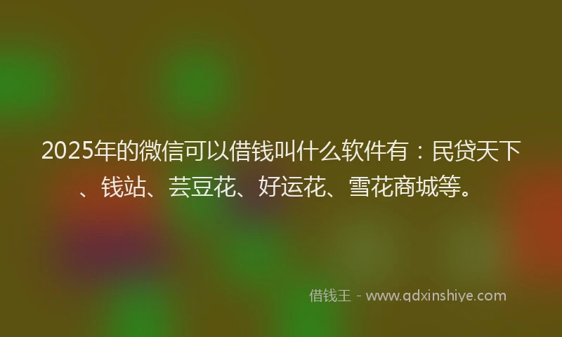 2025年的微信可以借钱叫什么软件有：民贷天下、钱站、芸豆花、好运花、雪花商城等。
