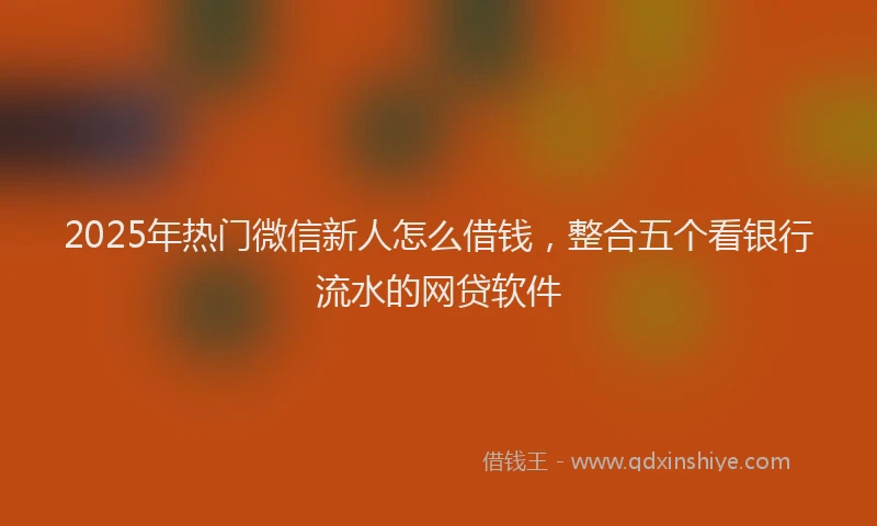 2025年热门微信新人怎么借钱，整合五个看银行流水的网贷软件