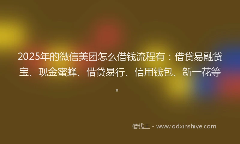 2025年的微信美团怎么借钱流程有：借贷易融贷宝、现金蜜蜂、借贷易行、信用钱包、新一花等。