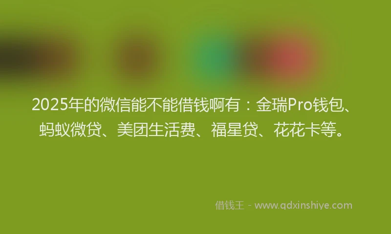 2025年的微信能不能借钱啊有：金瑞Pro钱包、蚂蚁微贷、美团生活费、福星贷、花花卡等。