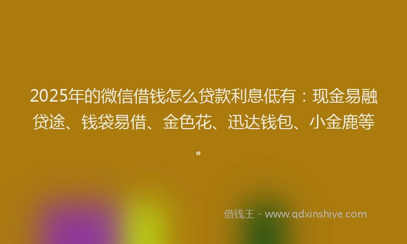 2025年的微信借钱怎么贷款利息低有：现金易融贷途、钱袋易借、金色花、迅达钱包、小金鹿等。