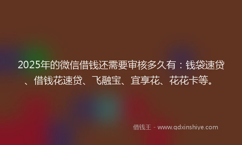 2025年的微信借钱还需要审核多久有：钱袋速贷、借钱花速贷、飞融宝、宜享花、花花卡等。