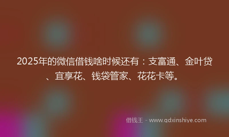 2025年的微信借钱啥时候还有：支富通、金叶贷、宜享花、钱袋管家、花花卡等。