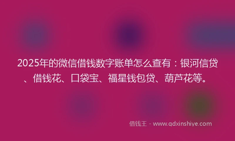 2025年的微信借钱数字账单怎么查有：银河信贷、借钱花、口袋宝、福星钱包贷、葫芦花等。
