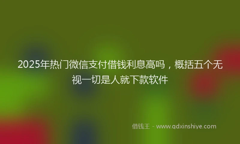 2025年热门微信支付借钱利息高吗，概括五个无视一切是人就下款软件