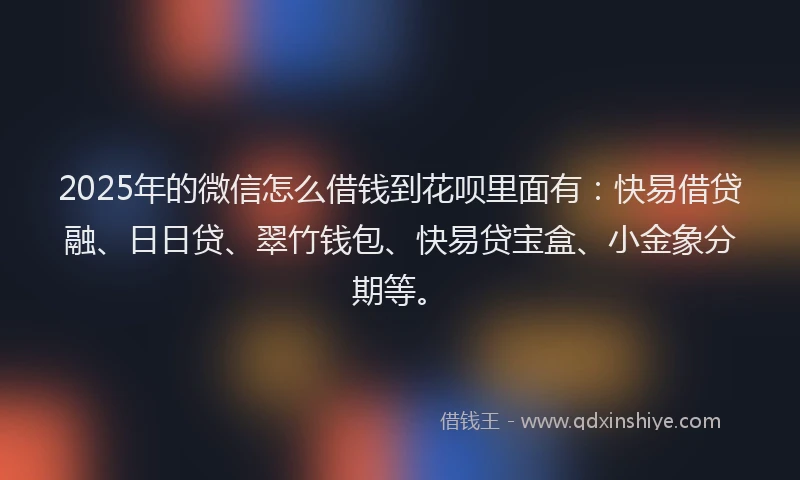 2025年的微信怎么借钱到花呗里面有：快易借贷融、日日贷、翠竹钱包、快易贷宝盒、小金象分期等。