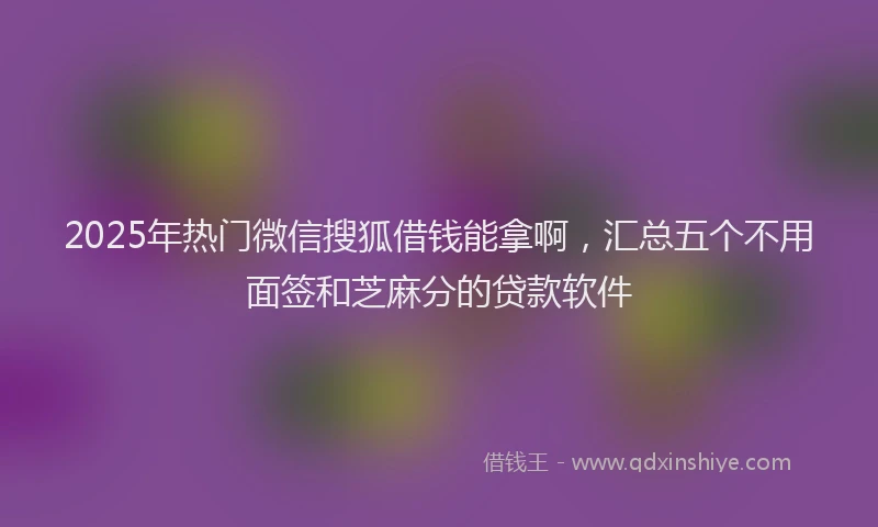 2025年热门微信搜狐借钱能拿啊，汇总五个不用面签和芝麻分的贷款软件