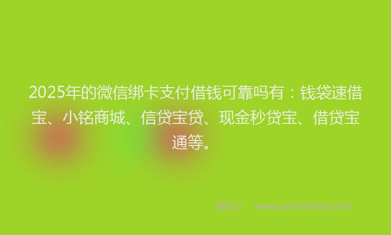 2025年的微信绑卡支付借钱可靠吗有：钱袋速借宝、小铭商城、信贷宝贷、现金秒贷宝、借贷宝通等。