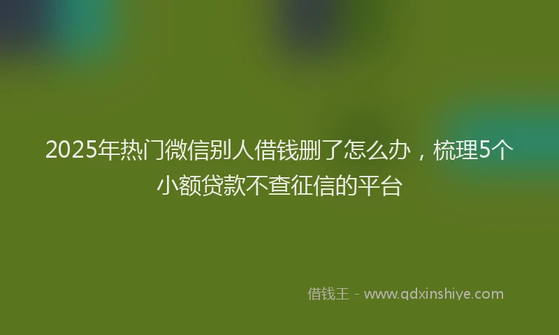 2025年热门微信别人借钱删了怎么办，梳理5个小额贷款不查征信的平台