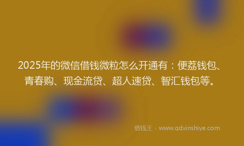 2025年的微信借钱微粒怎么开通有：便荔钱包、青春购、现金流贷、超人速贷、智汇钱包等。