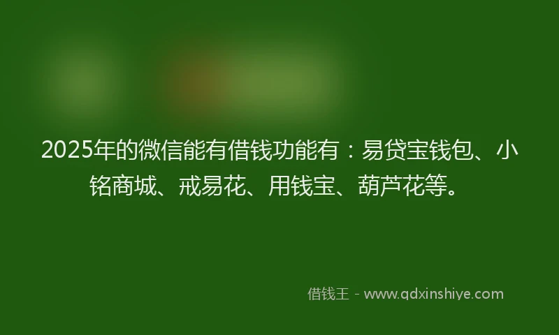 2025年的微信能有借钱功能有：易贷宝钱包、小铭商城、戒易花、用钱宝、葫芦花等。