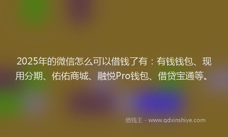 2025年的微信怎么可以借钱了有：有钱钱包、现用分期、佑佑商城、融悦Pro钱包、借贷宝通等。