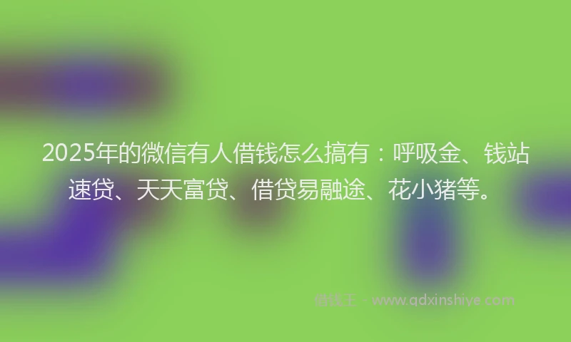 2025年的微信有人借钱怎么搞有：呼吸金、钱站速贷、天天富贷、借贷易融途、花小猪等。