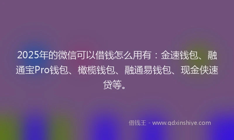 2025年的微信可以借钱怎么用有：金速钱包、融通宝Pro钱包、橄榄钱包、融通易钱包、现金侠速贷等。