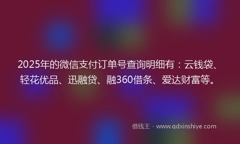 2025年的微信支付订单号查询明细有：云钱袋、轻花优品、迅融贷、融360借条、爱达财富等。