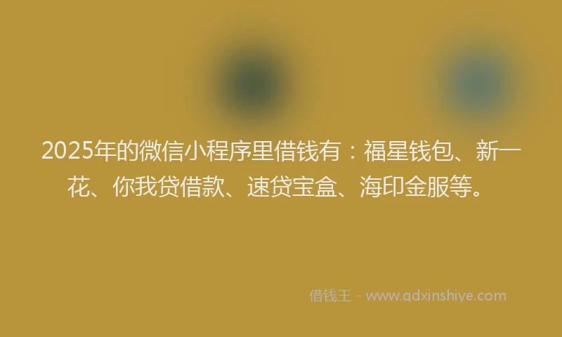 2025年的微信小程序里借钱有：福星钱包、新一花、你我贷借款、速贷宝盒、海印金服等。