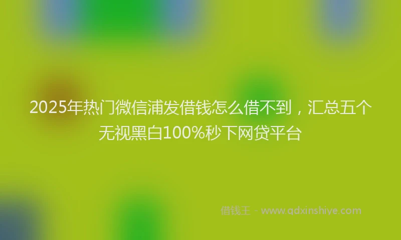 2025年热门微信浦发借钱怎么借不到，汇总五个无视黑白100%秒下网贷平台