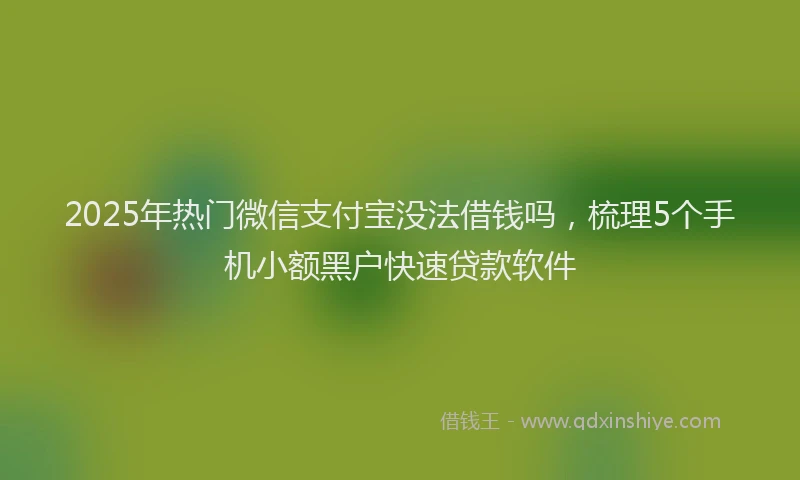 2025年热门微信支付宝没法借钱吗，梳理5个手机小额黑户快速贷款软件