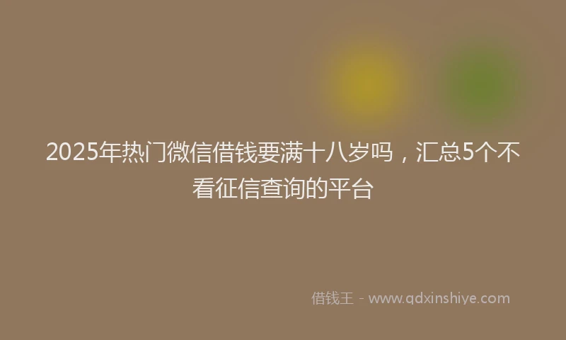 2025年热门微信借钱要满十八岁吗，汇总5个不看征信查询的平台