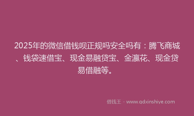 2025年的微信借钱呗正规吗安全吗有：腾飞商城、钱袋速借宝、现金易融贷宝、金瀛花、现金贷易借融等。