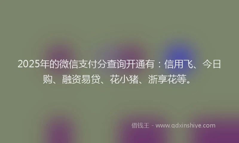 2025年的微信支付分查询开通有：信用飞、今日购、融资易贷、花小猪、浙享花等。