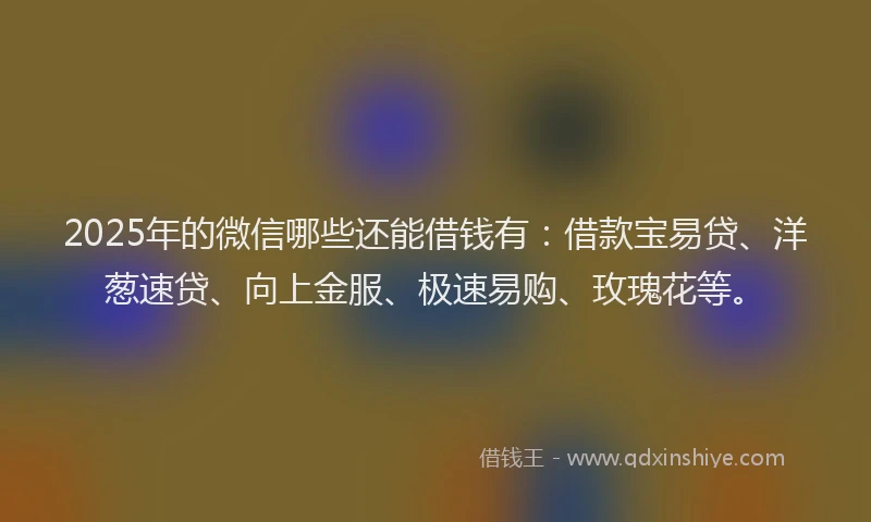 2025年的微信哪些还能借钱有：借款宝易贷、洋葱速贷、向上金服、极速易购、玫瑰花等。