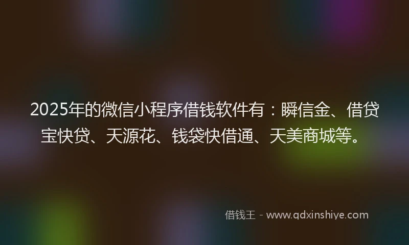 2025年的微信小程序借钱软件有：瞬信金、借贷宝快贷、天源花、钱袋快借通、天美商城等。