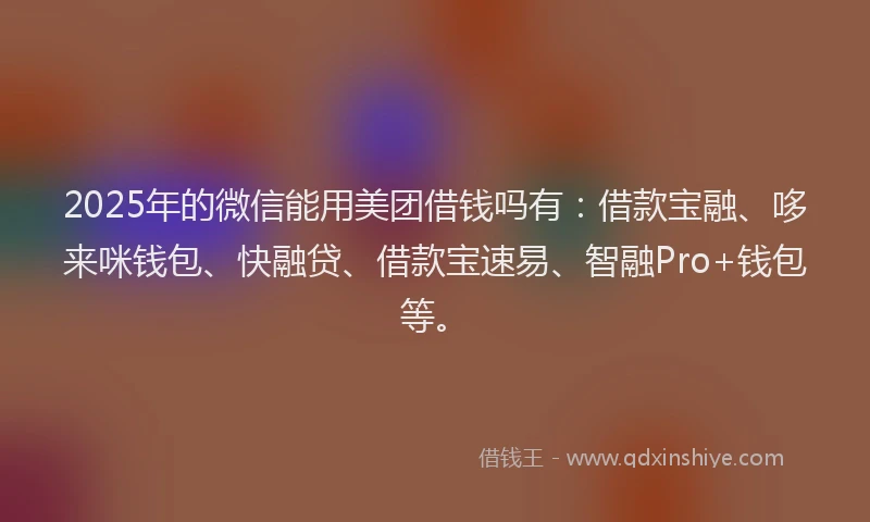 2025年的微信能用美团借钱吗有：借款宝融、哆来咪钱包、快融贷、借款宝速易、智融Pro+钱包等。