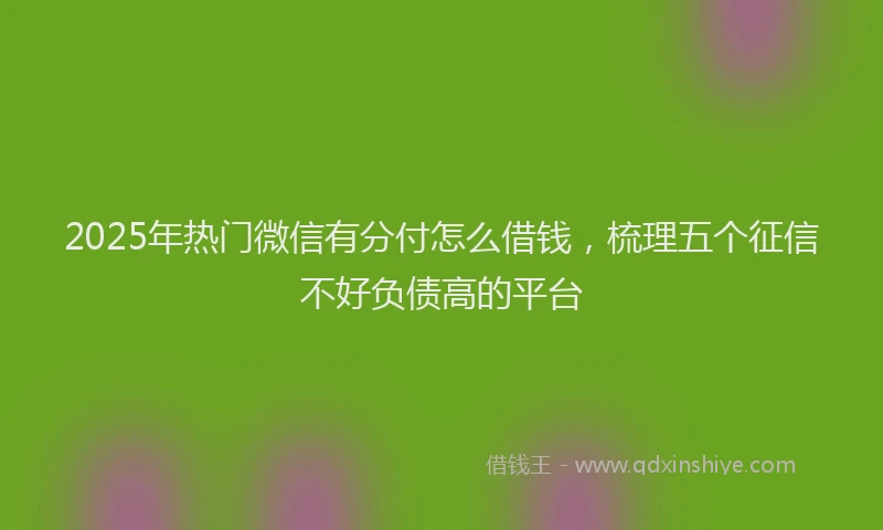 2025年热门微信有分付怎么借钱，梳理五个征信不好负债高的平台
