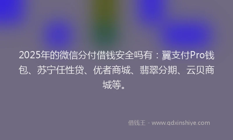 2025年的微信分付借钱安全吗有：翼支付Pro钱包、苏宁任性贷、优者商城、翡翠分期、云贝商城等。